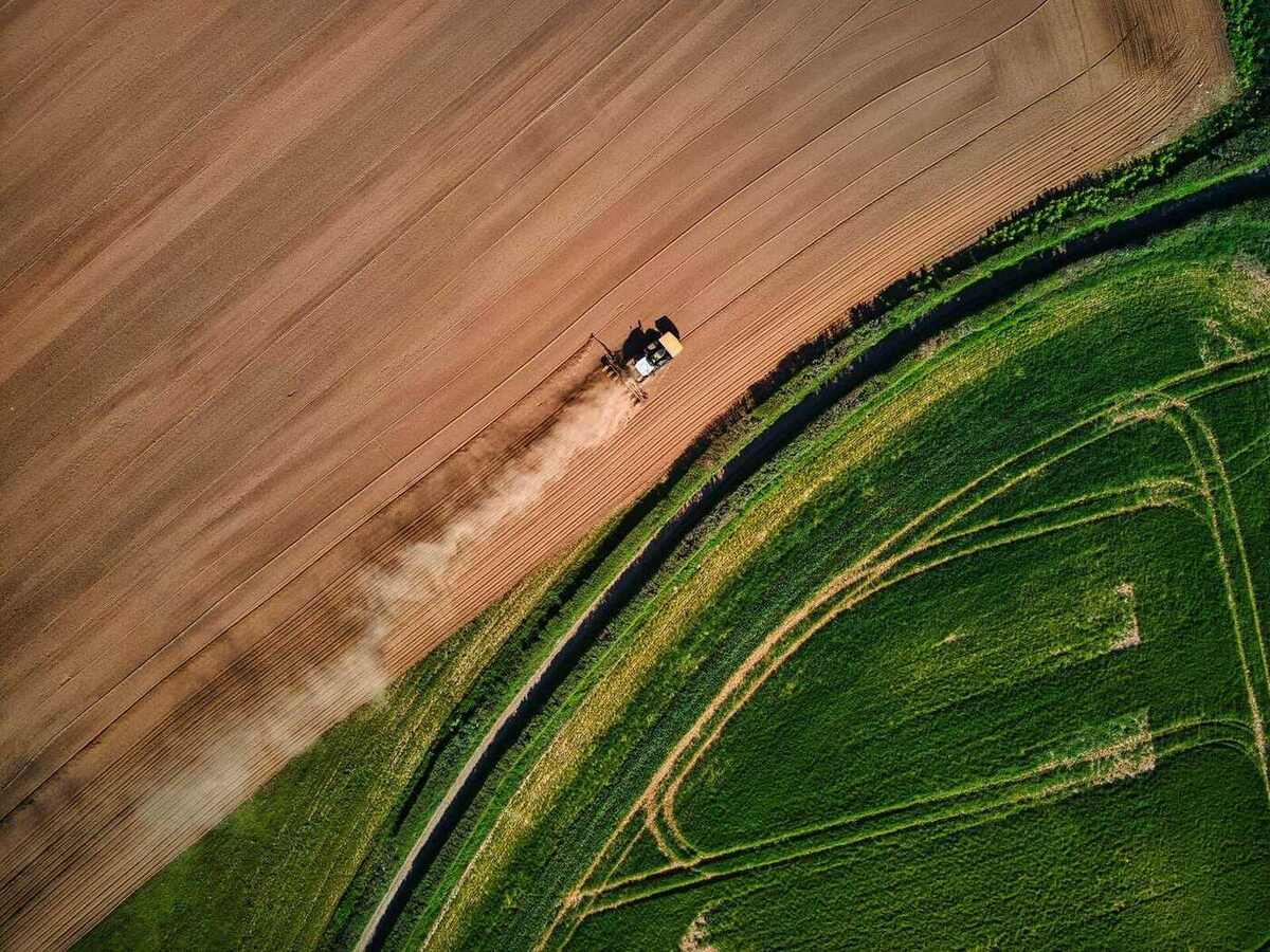 Área de vegetação em recuperação vista de cima